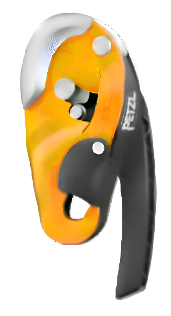 Petzl RIG