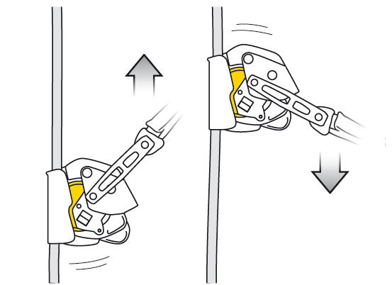 Petzl ASAP Lock + Absorber Axess